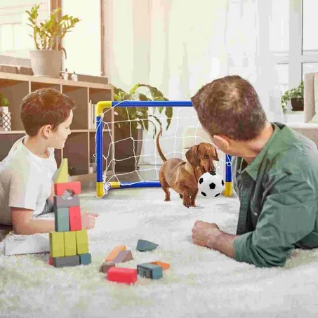 مرمى كرة القدم للاطفال