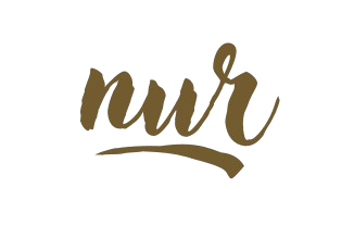 nuroflight