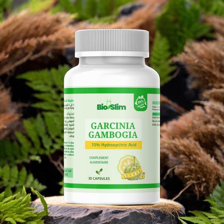 Garcinia Gambogia