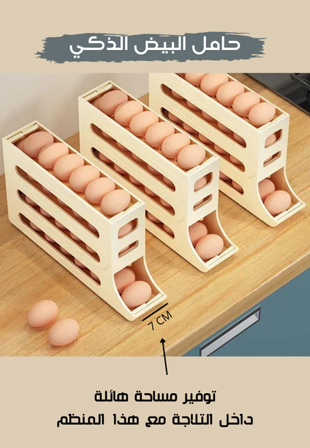 حامل و منظم البيض