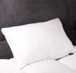 stores/a3ec086e720e9a70a78b9a8e24ea482f/products/J5xwiwVsJJWJ4tf81l6Uyt2XQpF01Yr78P1jzqLx.jpeg