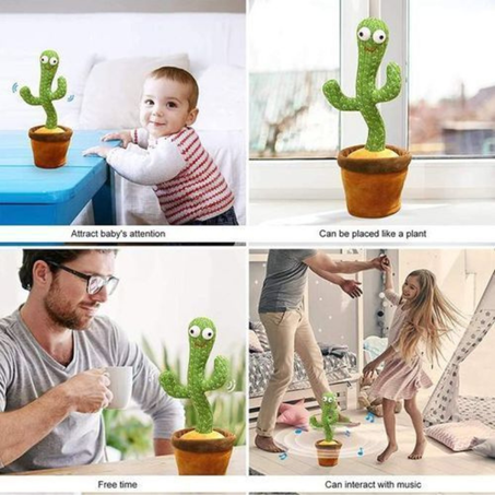 Cactus en peluche dansant et parlant – Rechargeable   لعبة الصبار المحشوة الراقصة والمتكلمة – قابلة للشحن