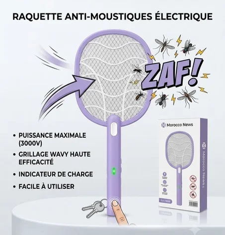 Raquette anti-moustique