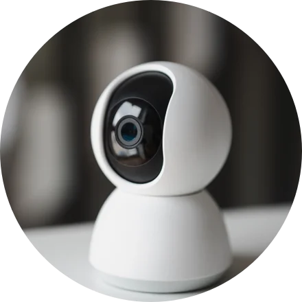 الأمن والحماية