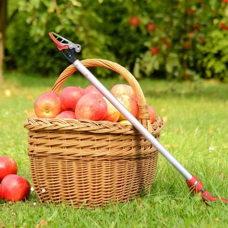 قصّ وشذّب الأشجار بسهولة بلا انحناء ولا تعب