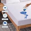 stores/a4606f7ba2e07be5ad9bdd75e8b695b0/products/Evqt6K3kwUnXJKVbc9W1MOC9zLXrZySdHamWZahw.jpeg