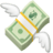 💸
