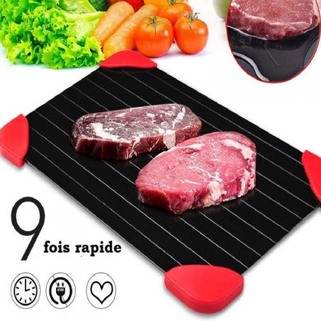 Plateau de décongélation rapide