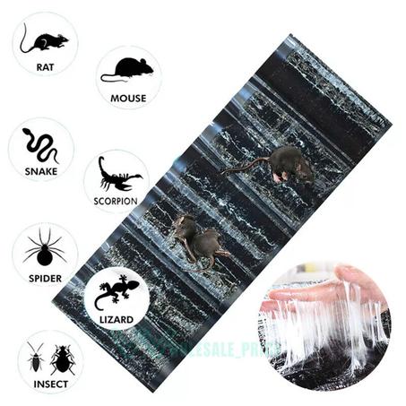 Le Piège à Souris Multi-prises Ultime : 4 Tapis Noir en Plastique PU