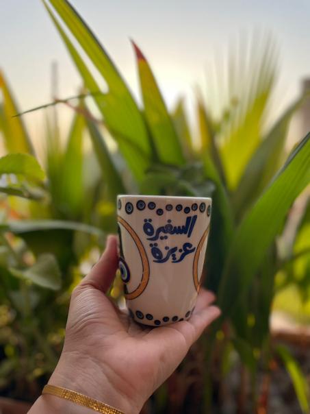 مج السفيرة عزيزة