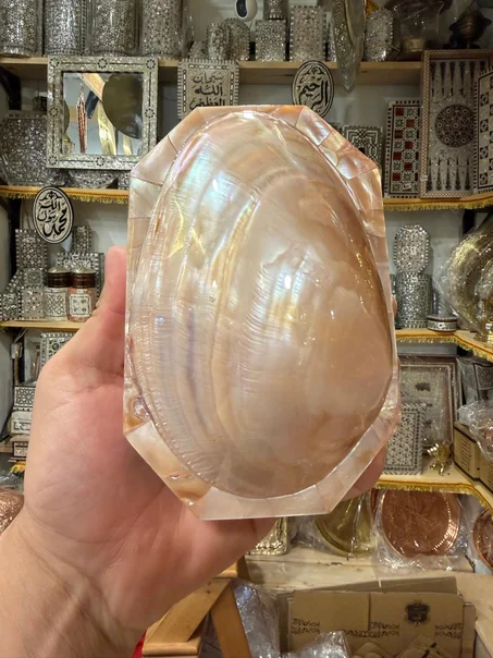 علبه صدف طبيعى