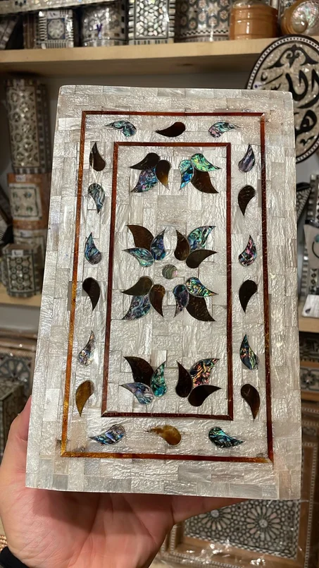 علبه صدف طبيعى 25سم