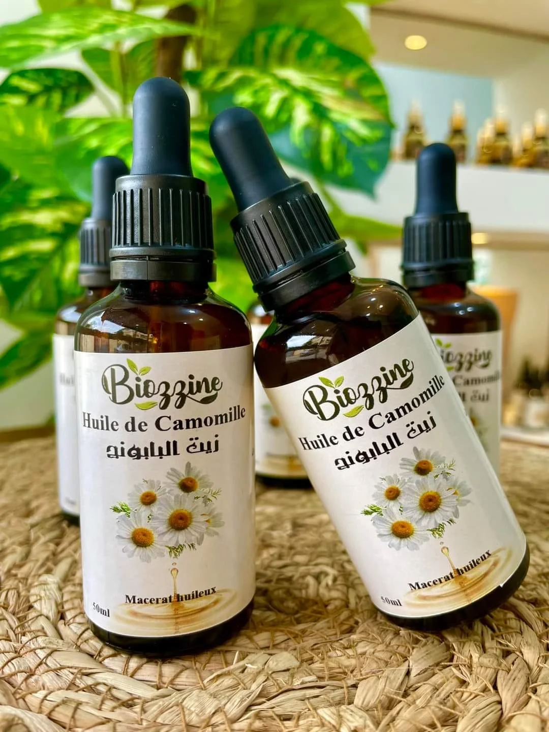 زيت البابونج الطبيعي