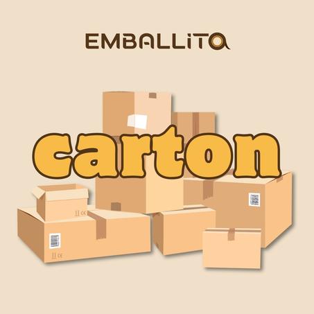 Caisse en carton