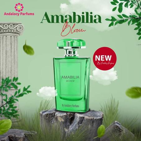 AMABILIA BLOOM