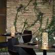stores/a5780e79cd1b8bd4cfa825b6dce7858f/products/65gNq0muNB5w1900DiejkcD5ZatGfMijLz9DYtlN.png