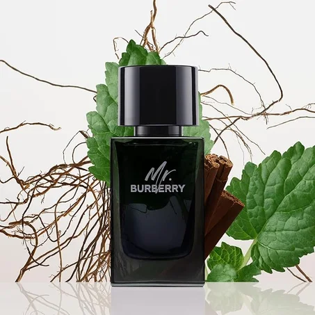 مستر بيربيري من بيربري عطر للرجال - او دى بارفان، 100 مل_______________ العلامة التجارية: BURBERRY