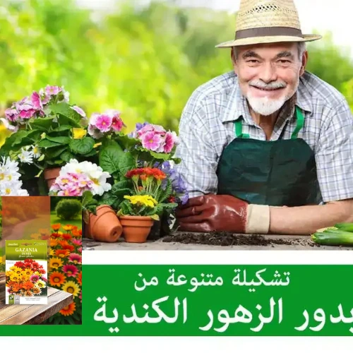 جمال فاخر... من قلب الطبيعة السعودية