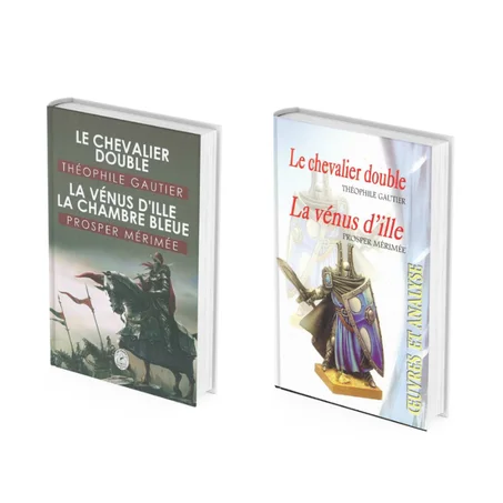 roman : le chevalier double