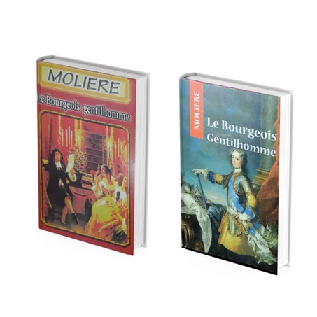 roman : le bourgeois gentilhomme