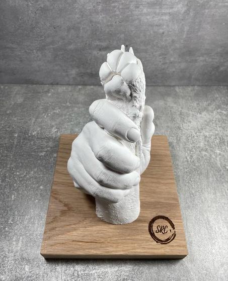 مجموعة الحيوانات