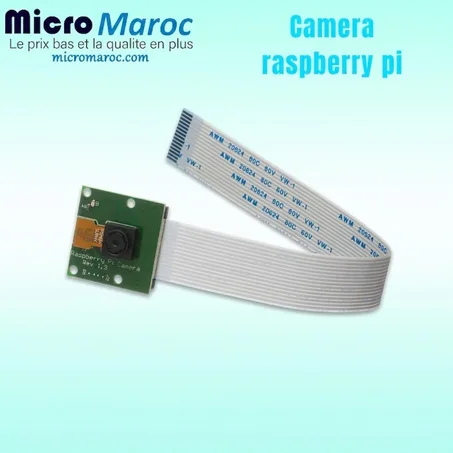 Caméra Raspberry Pi 5MP