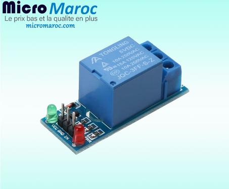 Module Relais 5v