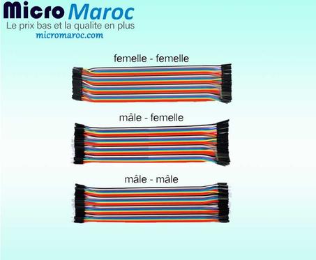 Câble de connexion 10 Fils De Prototypage Male - femelle ou mixte