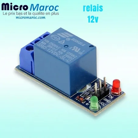 Module Relais 12v
