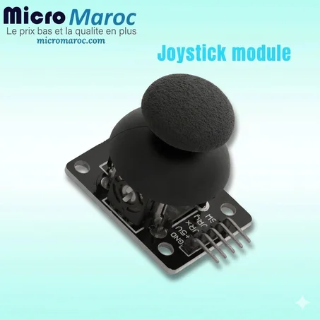 Module Joystick
