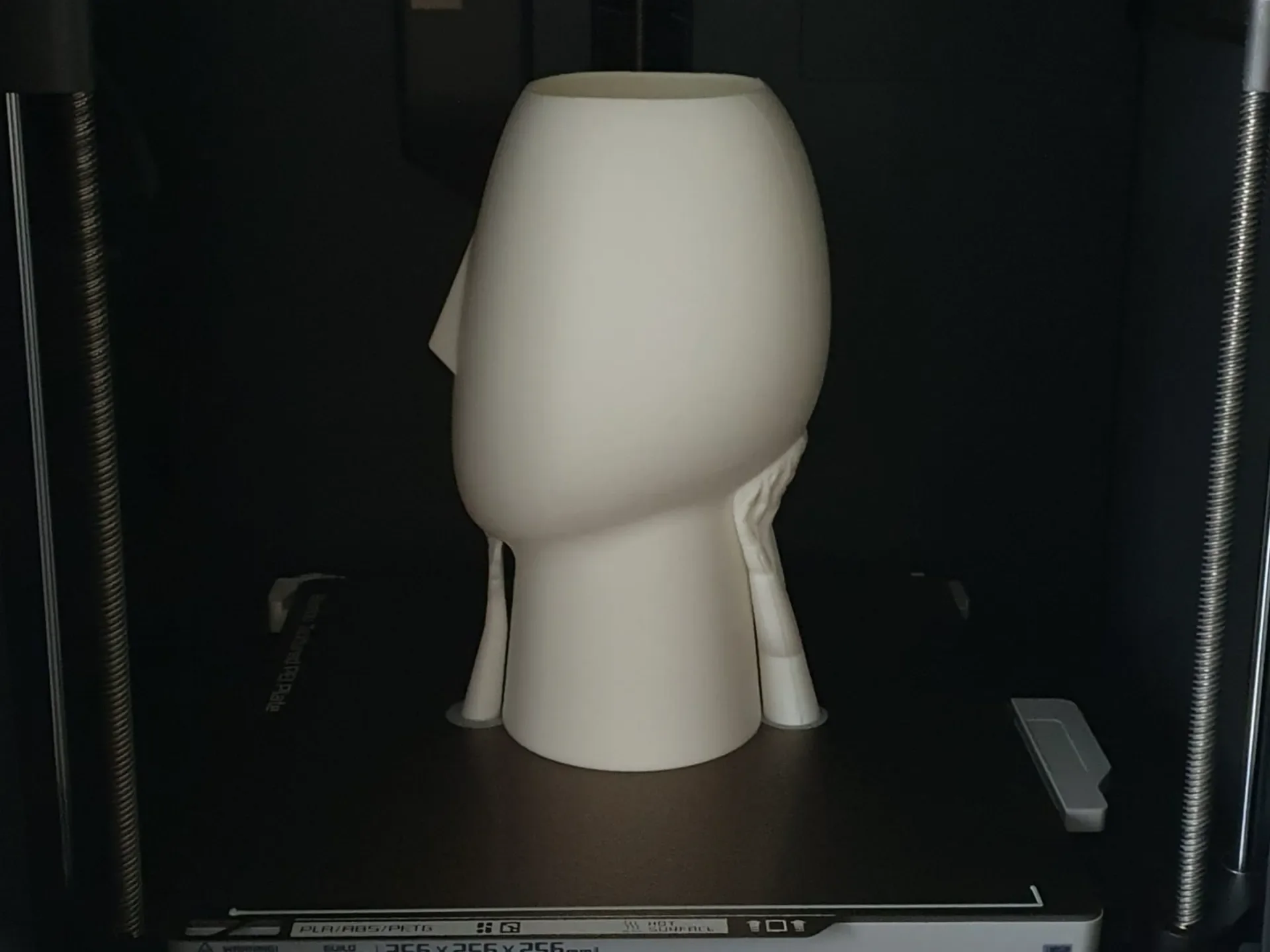 مزهرية الملامح العصرية (Modern Face Vase) — لمسة فنية نحتية