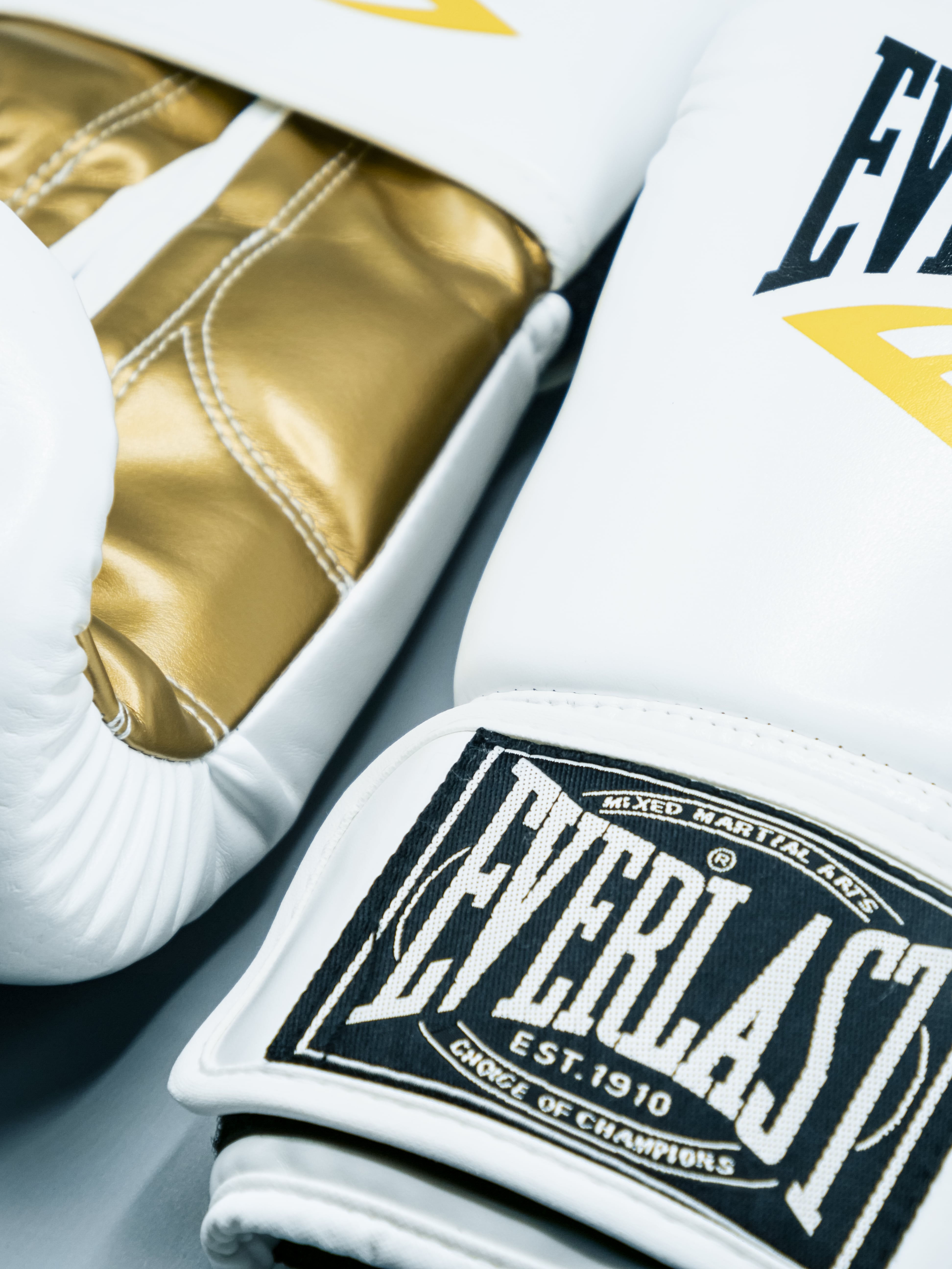 Gant de Boxe et Kickboxing Everlast Blanche/Gold