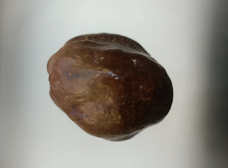 Pomme d’Adam de Médine