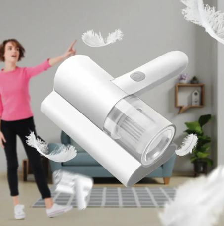 المكنسة الصغيرة