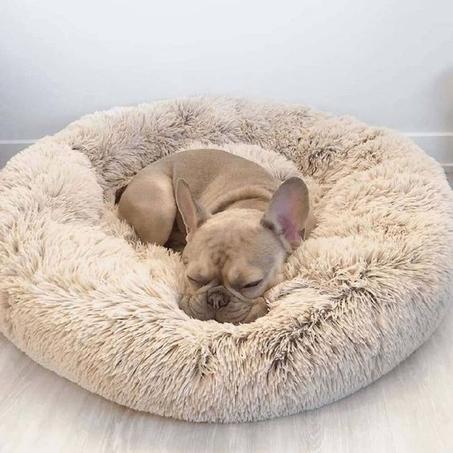 Pouf Chien ( 1 mètre / 1 mètre )