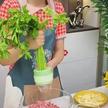 stores/a673113307177d2342dd41de927826b5/products/vnrrax88hgyrVDLTjmlcvVL9FiMmetxrtFMNqb2l.jpeg