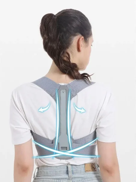 Ceinture de maintien dorsale حزام دعم الظهر