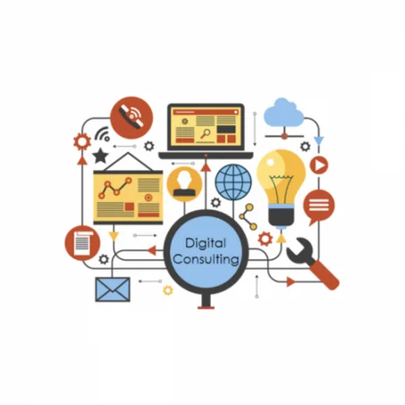 Digital Consultancy Basic Plan