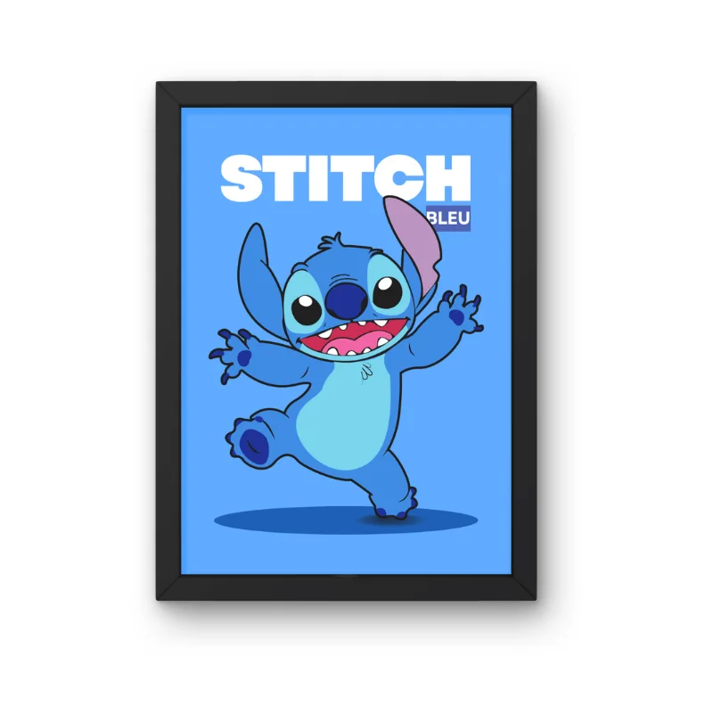 Stitch - Cader