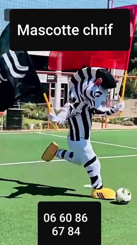 Mascotte Zebra