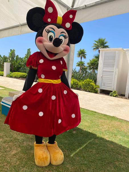 Mascotte Minnie mousse