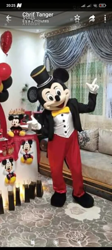 Mascotte Mickey Mousse