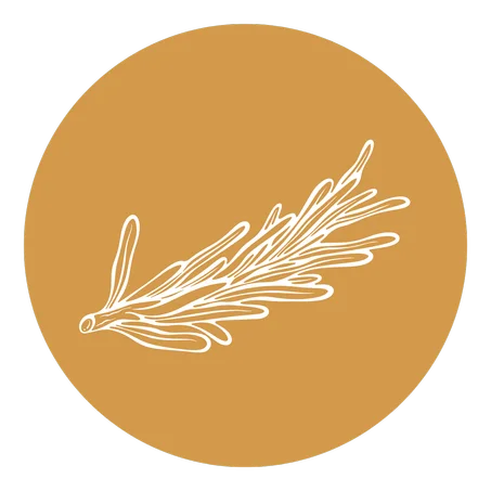 أعشاب طبيعية