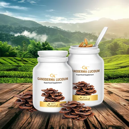 مكمل الجانوديرما فطر الريشي(