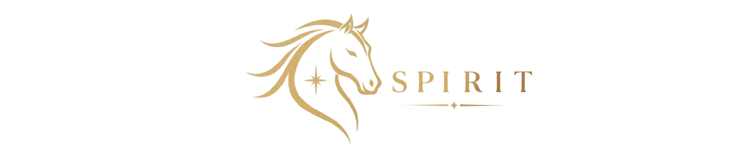 SPIRIT