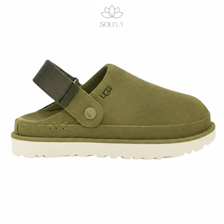 Collection Hiver 2026