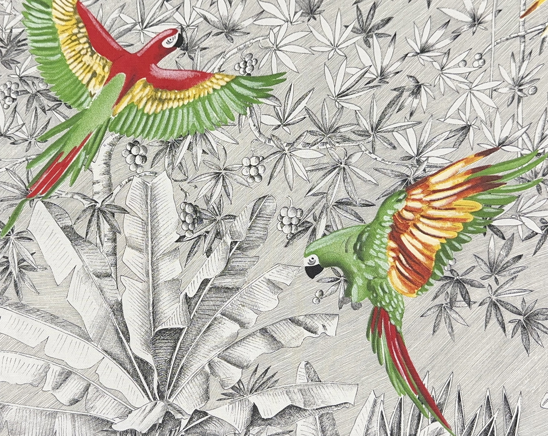 Housse de coussin perroquets mania