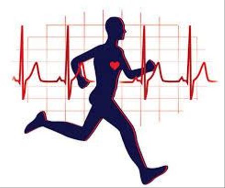 الرياضة واللياقة البدنية