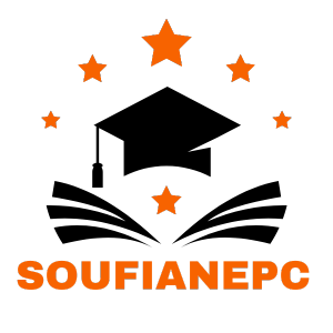 soufianepc.store favicon