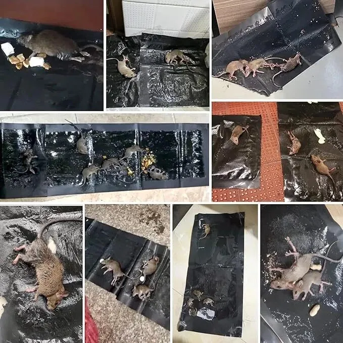 لاصق الفيران القوي